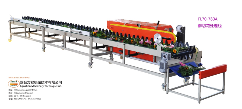 鮮切花機械化加工處理解決方案