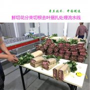 鮮花自動打包處理流水線