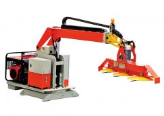 綠籬修剪都有那些需要注意的